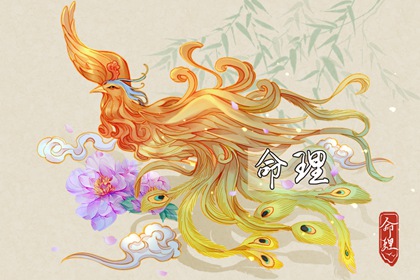 择吉黄历|择吉老黄历皇历|择吉日大全